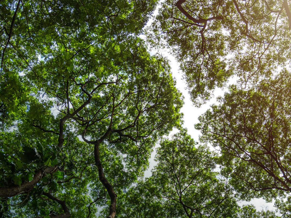 Interview: GSMA’s Steven Moore on the industry’s Net Zero goals