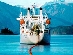 Indian operator acquires subsea cable