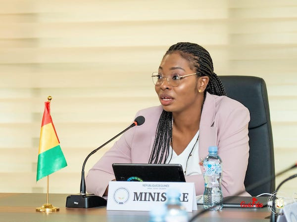 Guinea adds Côte d'Ivoire to regional fibre interconnectivity plan