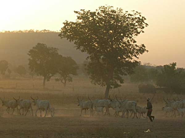 Digital development efforts ramp up in Cameroon and Madagascar