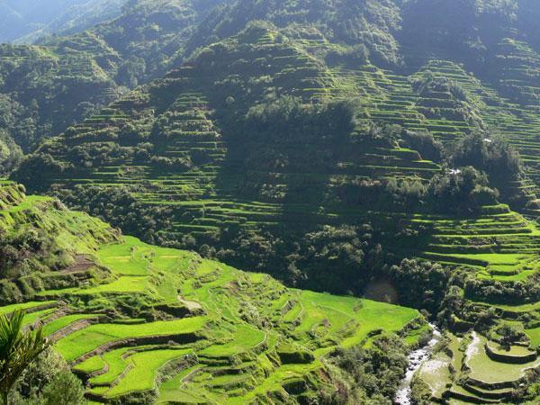 PLDT gets US$34.4m social loan from HSBC to bridge digital divide