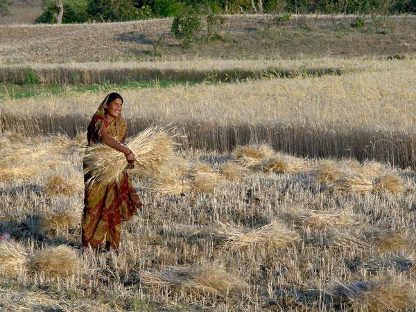 India’s NSIL plans satellite launch to support remote areas