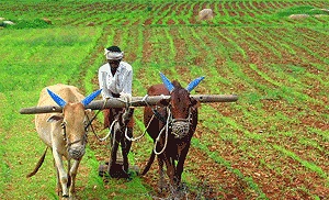 NEC-UNDP MoU positions AI as force for sustainability