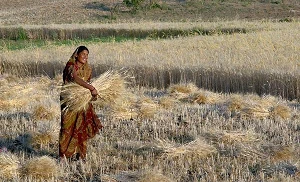 Platform-based initiative to boost India’s women-owned small businesses