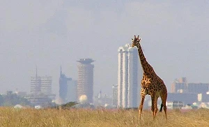 Kenya abandons local shareholding ruling for tech groups