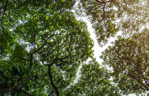 Interview: GSMA’s Steven Moore on the industry’s Net Zero goals