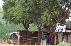 WHO uses AI to provide health risk information for DRC