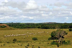 WOM Colombia looks forward after reorganisation vote