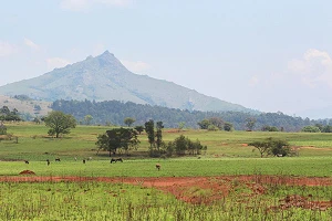 Paratus Group launches connectivity solution for Africa’s essential service organisations