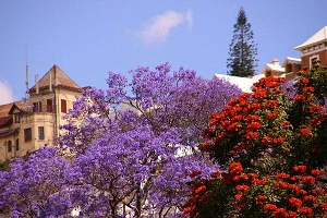 Orange taps AMN for another NAAS deal in Madagascar