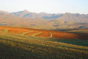 Connectivity improvements on the way for Namibia, Botswana and Lesotho